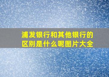 浦发银行和其他银行的区别是什么呢图片大全