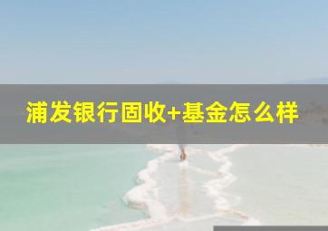 浦发银行固收+基金怎么样