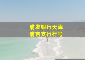 浦发银行天津浦吉支行行号