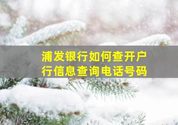 浦发银行如何查开户行信息查询电话号码