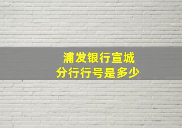 浦发银行宣城分行行号是多少