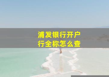 浦发银行开户行全称怎么查