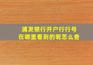 浦发银行开户行行号在哪里看到的呢怎么查