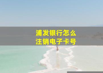 浦发银行怎么注销电子卡号