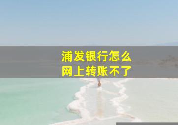 浦发银行怎么网上转账不了