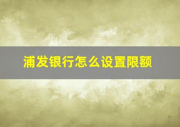 浦发银行怎么设置限额