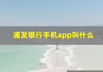 浦发银行手机app叫什么