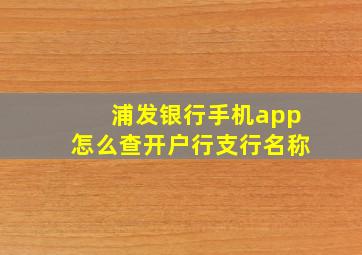 浦发银行手机app怎么查开户行支行名称