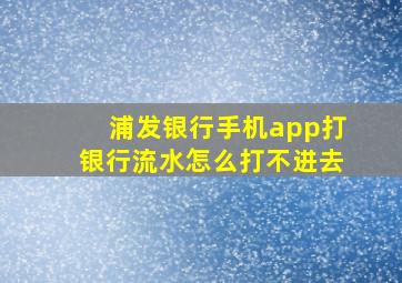 浦发银行手机app打银行流水怎么打不进去