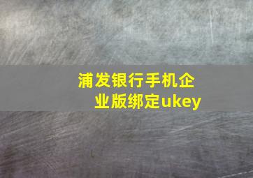 浦发银行手机企业版绑定ukey