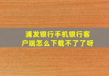 浦发银行手机银行客户端怎么下载不了了呀