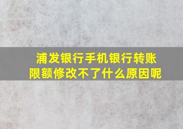 浦发银行手机银行转账限额修改不了什么原因呢