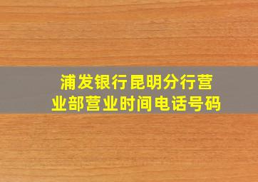 浦发银行昆明分行营业部营业时间电话号码