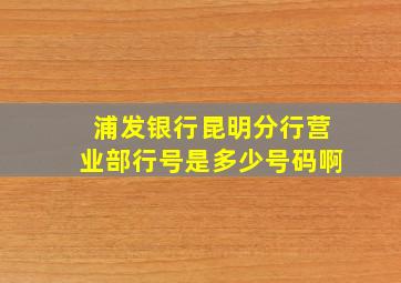 浦发银行昆明分行营业部行号是多少号码啊