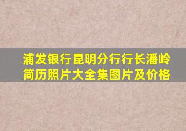 浦发银行昆明分行行长潘岭简历照片大全集图片及价格