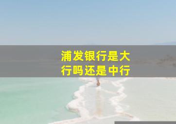 浦发银行是大行吗还是中行