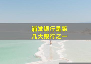 浦发银行是第几大银行之一