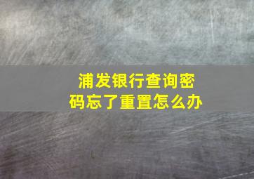 浦发银行查询密码忘了重置怎么办