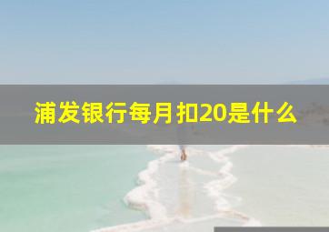 浦发银行每月扣20是什么