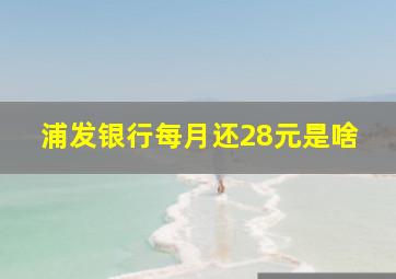 浦发银行每月还28元是啥