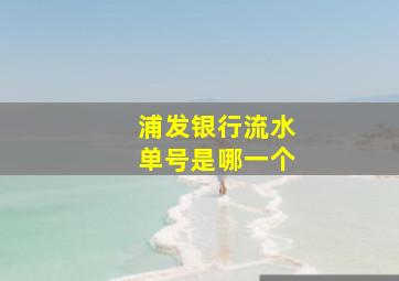 浦发银行流水单号是哪一个