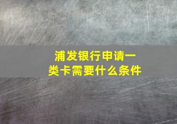 浦发银行申请一类卡需要什么条件