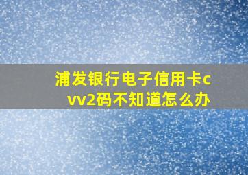 浦发银行电子信用卡cvv2码不知道怎么办