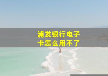 浦发银行电子卡怎么用不了