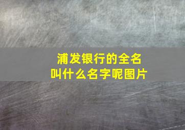 浦发银行的全名叫什么名字呢图片