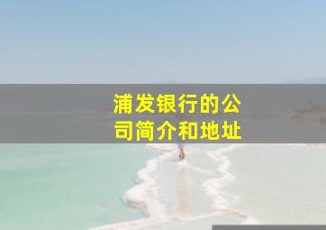 浦发银行的公司简介和地址