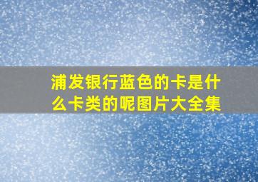 浦发银行蓝色的卡是什么卡类的呢图片大全集