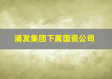 浦发集团下属国资公司