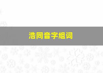 浩同音字组词