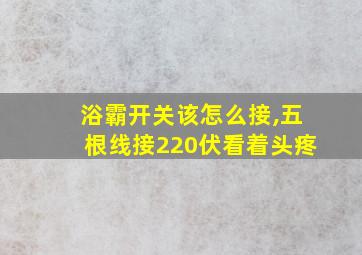 浴霸开关该怎么接,五根线接220伏看着头疼