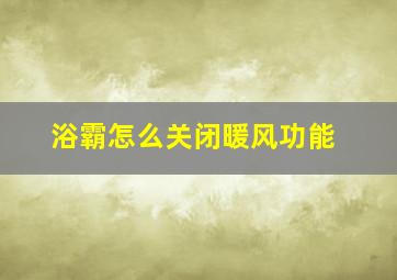 浴霸怎么关闭暖风功能