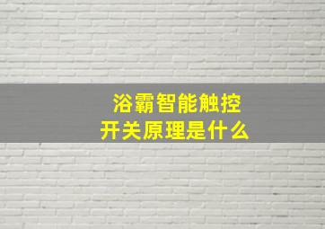 浴霸智能触控开关原理是什么