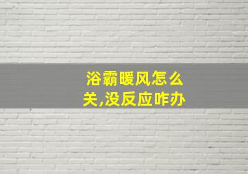 浴霸暖风怎么关,没反应咋办