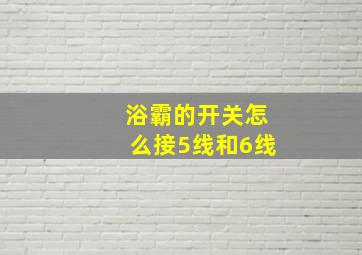 浴霸的开关怎么接5线和6线