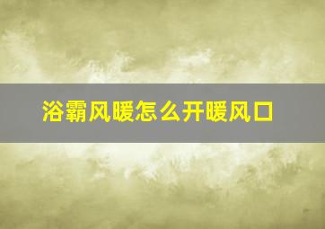 浴霸风暖怎么开暖风口