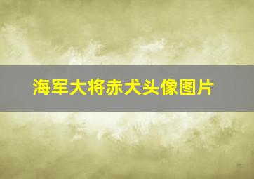 海军大将赤犬头像图片