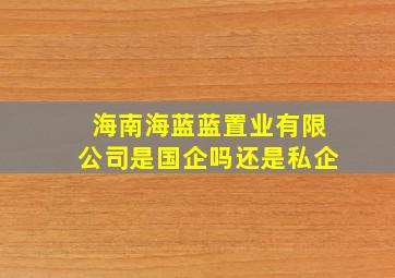 海南海蓝蓝置业有限公司是国企吗还是私企