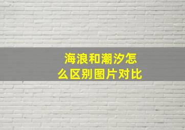 海浪和潮汐怎么区别图片对比