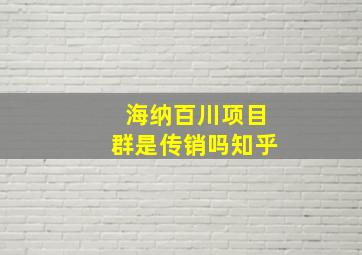 海纳百川项目群是传销吗知乎