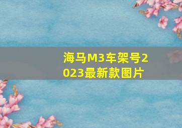 海马M3车架号2023最新款图片