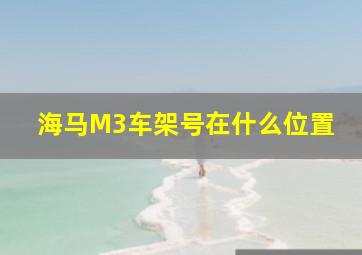 海马M3车架号在什么位置