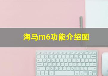 海马m6功能介绍图