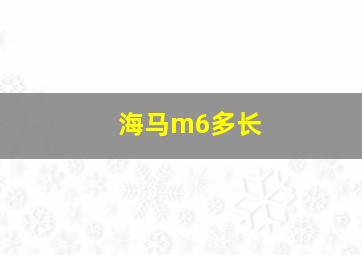 海马m6多长