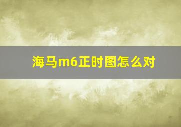 海马m6正时图怎么对