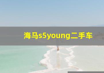 海马s5young二手车