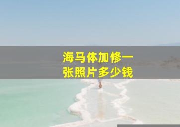 海马体加修一张照片多少钱